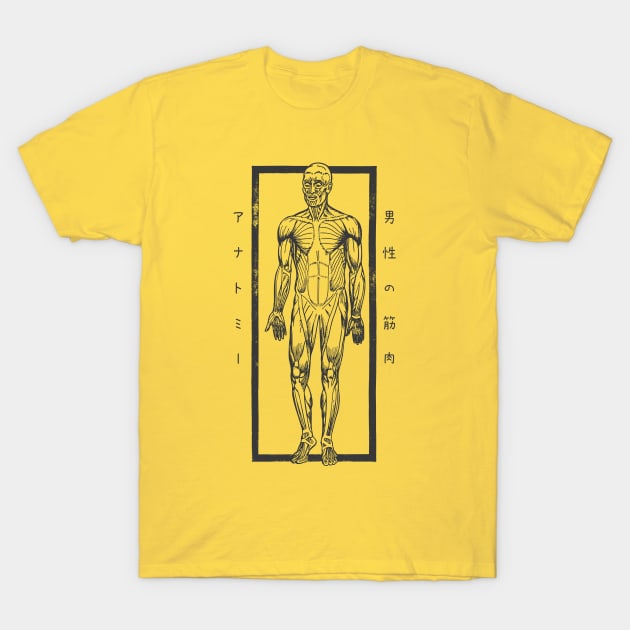 Anatomy Muscles of a Man with Japanese Kanji T-Shirt by SolidFive7